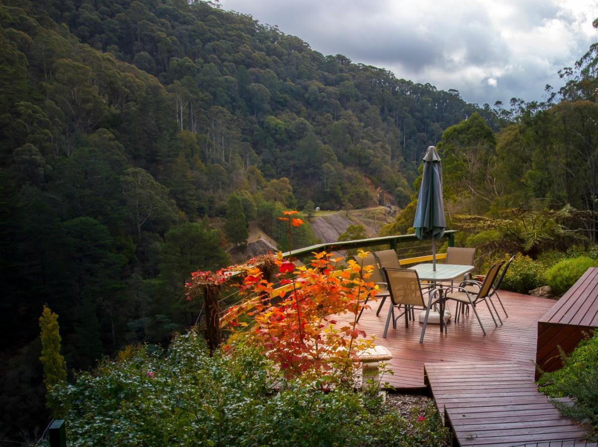 Walhalla Wild Cherry Esterno foto